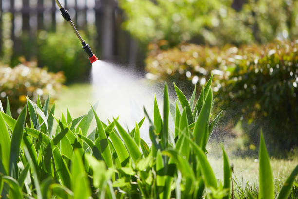 24/7 Emergency Bed Bug Control experts in Bonney Lake, WA