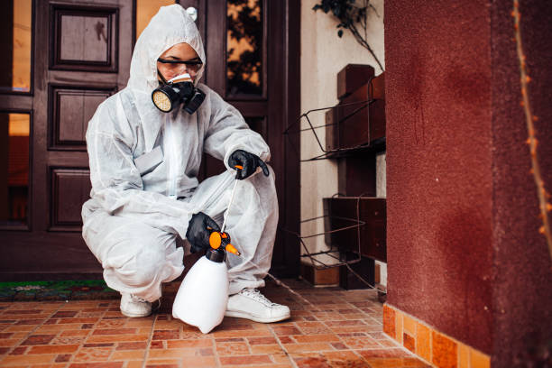 Reliable Bed Bug Control contractor in Bonney Lake, WA by Nex Pest Control