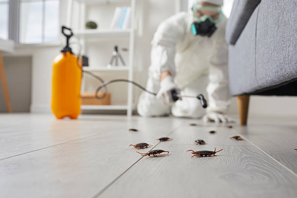 Trusted Fumigation Services service in Bonney Lake, WA - Nex Pest Control